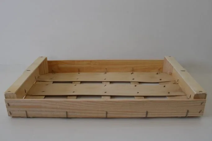 Plateau 50 × 30 bas, cagette pêche
