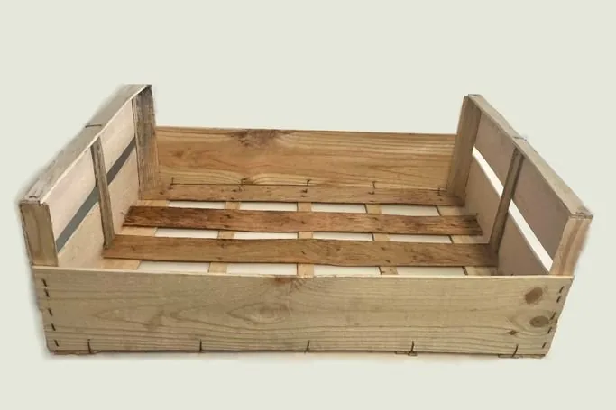 Plateau 60 × 40 moyen, cagette choux